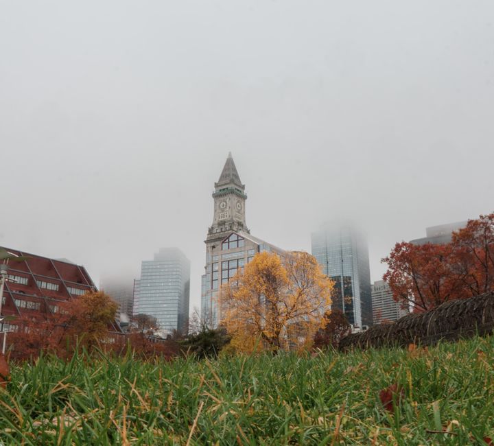 The People and Stories Growing Boston’s Home and Garden Scene