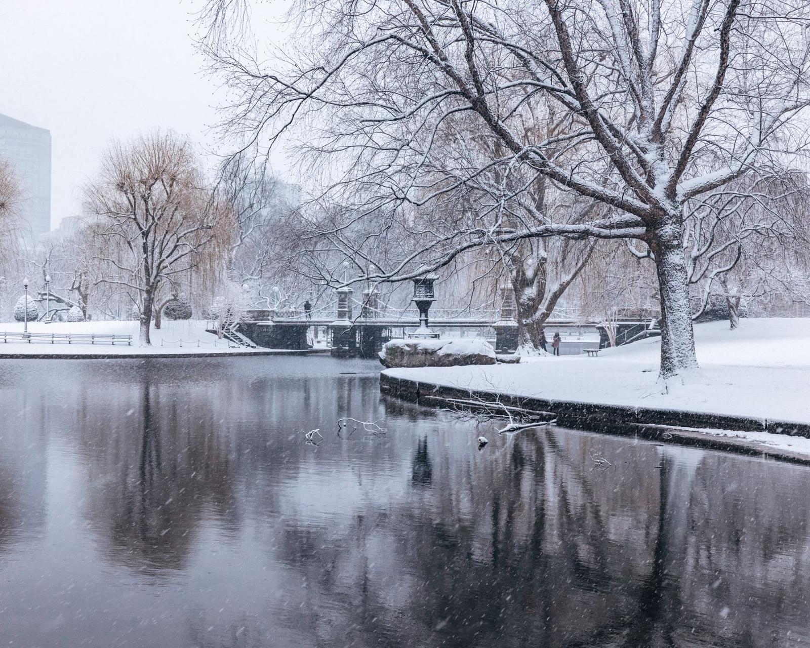Boston Experts Share 5 Daily Habits That Build Psychological Resilience